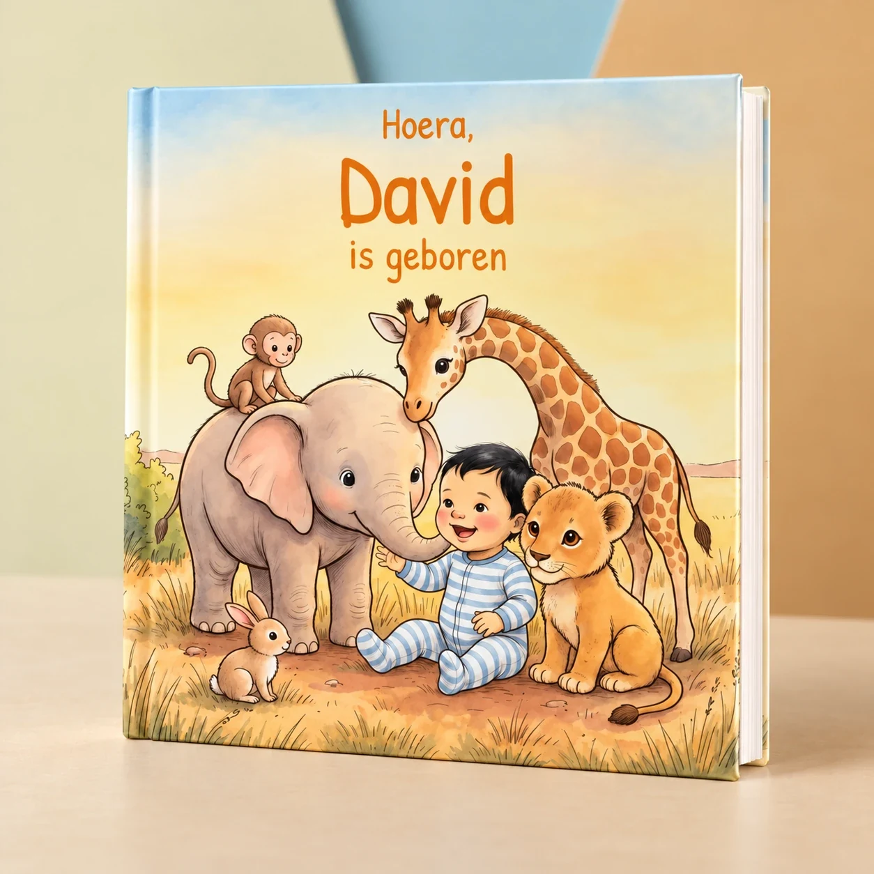 Boekomslag van Hoera, Naam is geboren - gepersonaliseerd kinderboek 2
